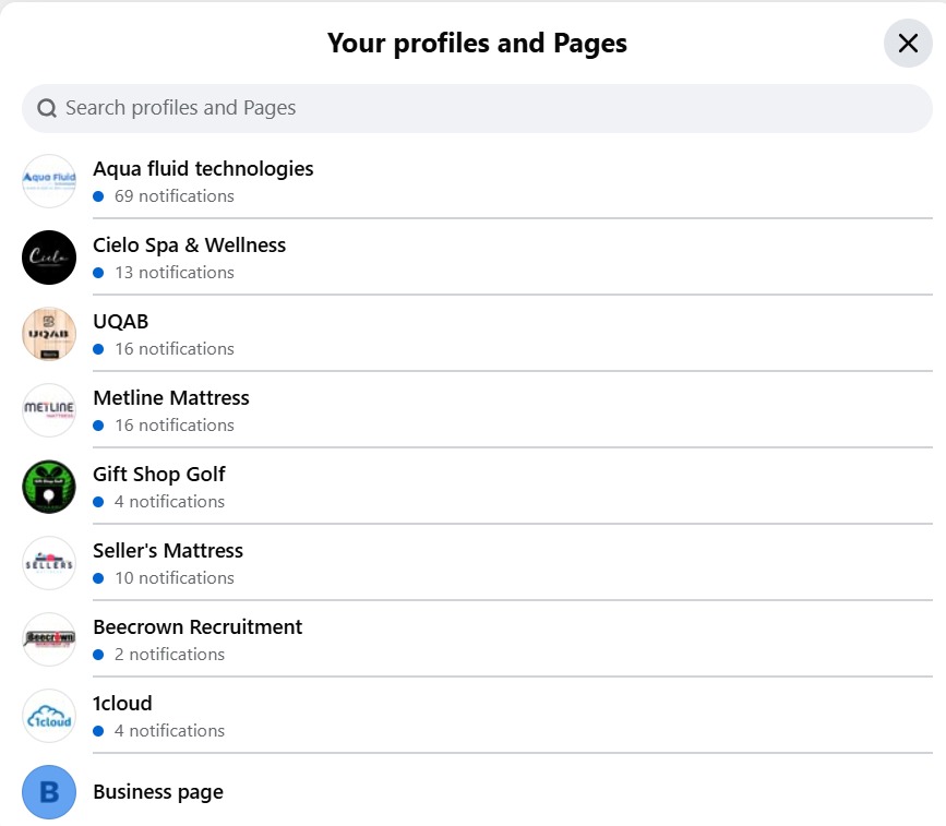 Facebook Pages Managed